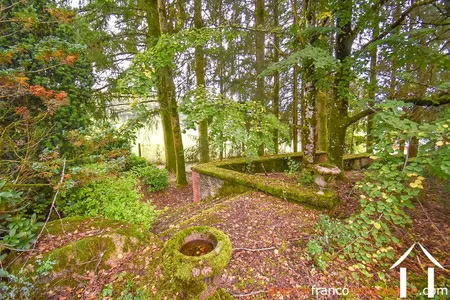 Herrenhaus zu verkaufen ussel, auvergne, Li944 Bild - 88