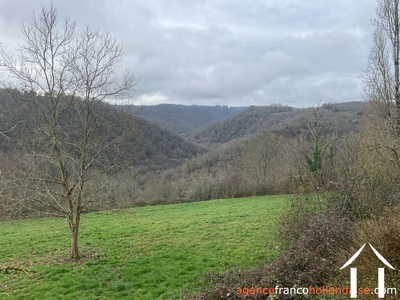 Haus zu verkaufen st mesmin, champagne-ardenne, Li968 Bild - 28