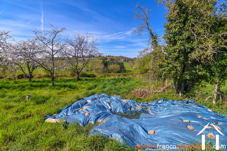 Haus zu verkaufen meuzac, limousin, Li985 Bild - 37