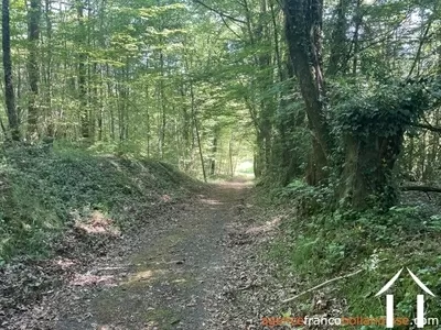 Haus zu verkaufen st pardoux corbier, limousin, Li993 Bild - 30