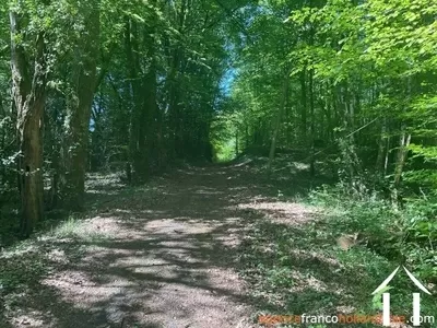 Haus zu verkaufen st pardoux corbier, limousin, Li993 Bild - 29