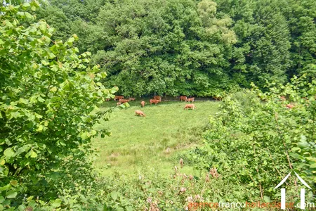 Haus zu verkaufen rempnat, limousin, Li996 Bild - 43