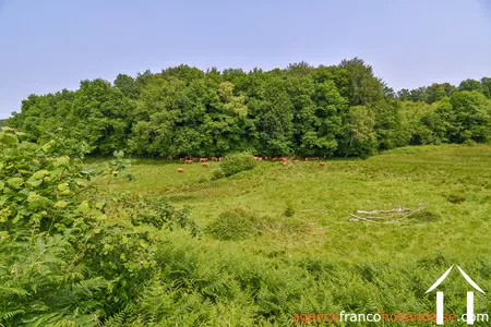 Haus zu verkaufen rempnat, limousin, Li996 Bild - 44