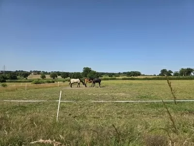 Bauerhaus zu verkaufen bourbon l archambault, auvergne, AP030071081 Bild - 12