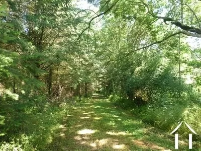 Haus zu verkaufen louroux de beaune, auvergne, AP030071138 Bild - 11