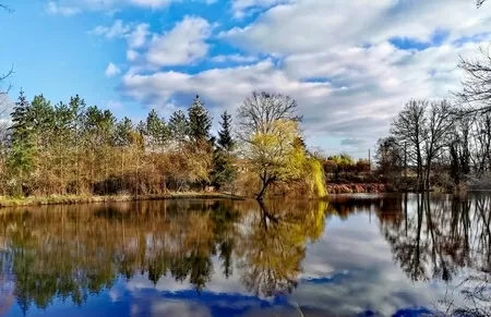 Haus zu verkaufen lurcy levis, auvergne, AP030071139 Bild - 1