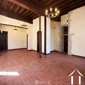 Chateau zu verkaufen vicq, auvergne, AP030071140 Bild - 9