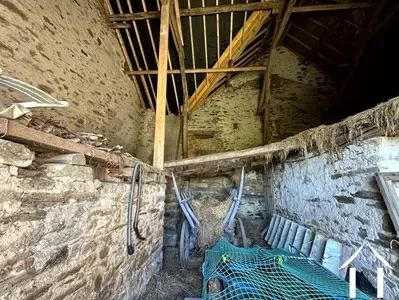 Haus zu verkaufen nades, auvergne, AP030071167 Bild - 11