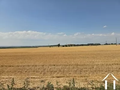 Immobilien 1 hectare ++ zu verkaufen sanssat, auvergne, AP030071199 Bild - 13