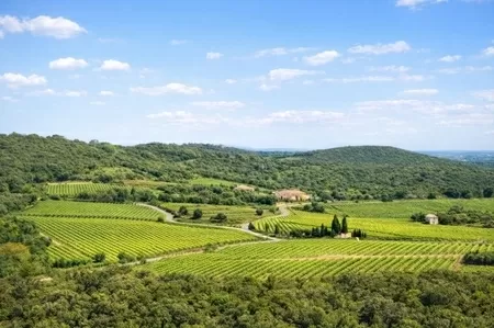 Haus zu verkaufen faugeres, rhone-alpes, EG11-2546 Bild - 9