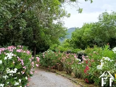 Haus zu verkaufen colombieres sur orb, languedoc-roussillon, EG11-2562 Bild - 3