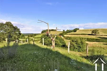 Immobilien 1 hectare ++ zu verkaufen st martin de salencey, burgund, JP5243S Bild - 15