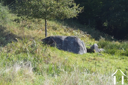 Immobilien 1 hectare ++ zu verkaufen tazilly, burgund, RP5275M Bild - 28