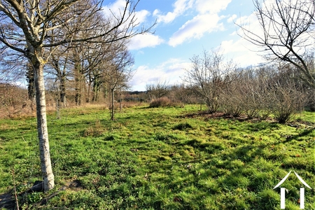 Haus zu verkaufen st christophe en bresse, burgund, JP5297B Bild - 16