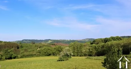 Charakterhaus zu verkaufen arleuf, burgund, CvH5323L Bild - 22