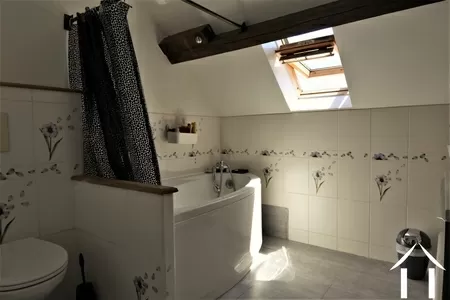 Immobilien 1 hectare ++ zu verkaufen st martin de salencey, burgund, JP5345S Bild - 13