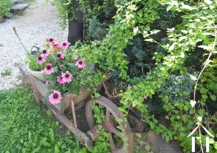 Haus zu verkaufen aignay le duc, burgund, BH5590H Bild - 18