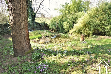 Haus zu verkaufen cluny, burgund, JP5450S Bild - 19