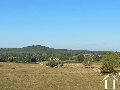 Open views