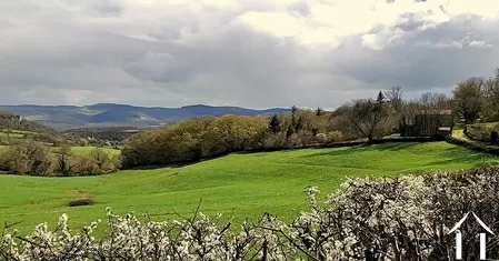 Haus zu verkaufen cluny, burgund, JDP5592S Bild - 30