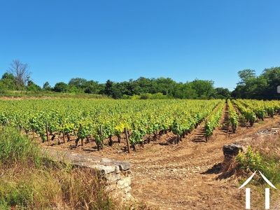 Haus zu verkaufen chagny, burgund, JDP5598S Bild - 35