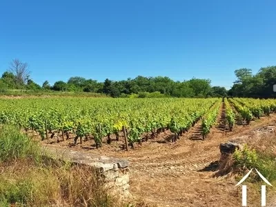 Haus zu verkaufen chagny, burgund, JDP5598S Bild - 35