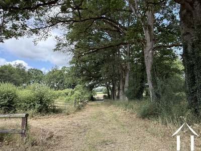Haus zu verkaufen conquereuil, pays-de-la-loire, 11-2524 Bild - 6