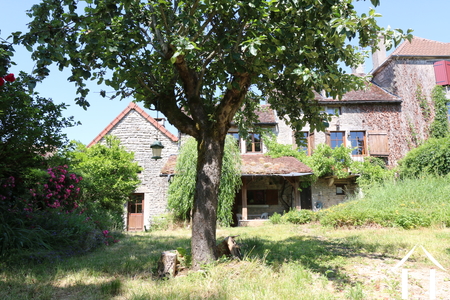 Hausansicht vom Garten