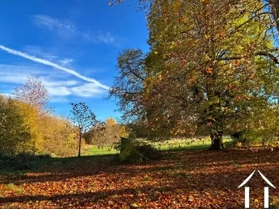 Haus zu verkaufen montsauche les settons, burgund, cvh5635 Bild - 4