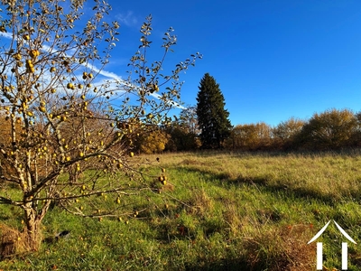 Haus zu verkaufen montsauche les settons, burgund, cvh5635 Bild - 12