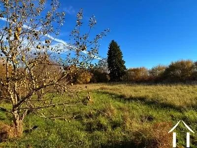 Haus zu verkaufen montsauche les settons, burgund, cvh5635 Bild - 12