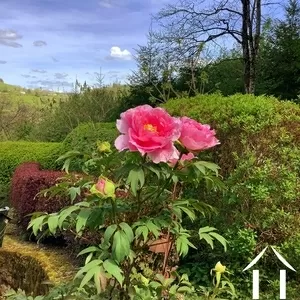 Haus zu verkaufen cussy en morvan, burgund, cvh5641 Bild - 18