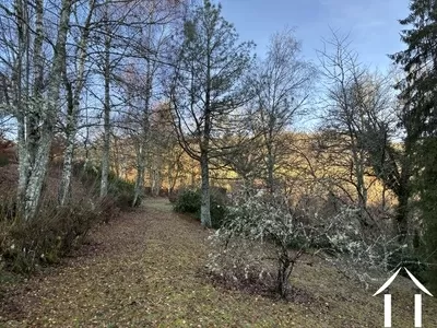 Haus zu verkaufen cussy en morvan, burgund, cvh5641 Bild - 19