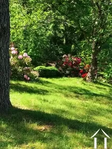 Haus zu verkaufen cussy en morvan, burgund, cvh5641 Bild - 6