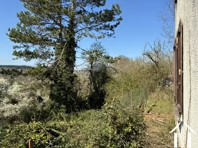 Haus zu verkaufen mont et marre, burgund, cvh 5658 Bild - 14