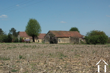 Immobilien 1 hectare ++ zu verkaufen montignac, aquitaine, GVS3746C Bild - 9