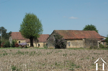 Immobilien 1 hectare ++ zu verkaufen montignac, aquitaine, GVS3746C Bild - 10
