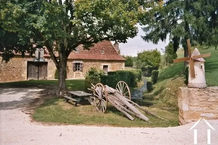 Immobilien 1 hectare ++ zu verkaufen montignac, aquitaine, GVS4850C Bild - 6