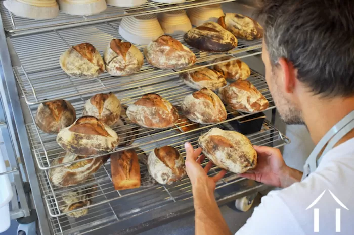 LIVING THE DREAM bild-2