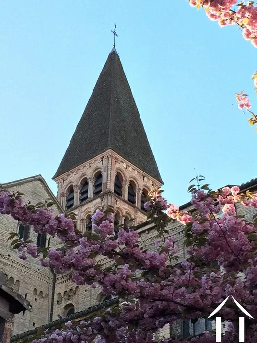 REGIONAL FEATURE bild-5