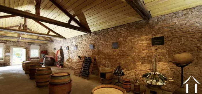 Summer edition 2021 bild-3