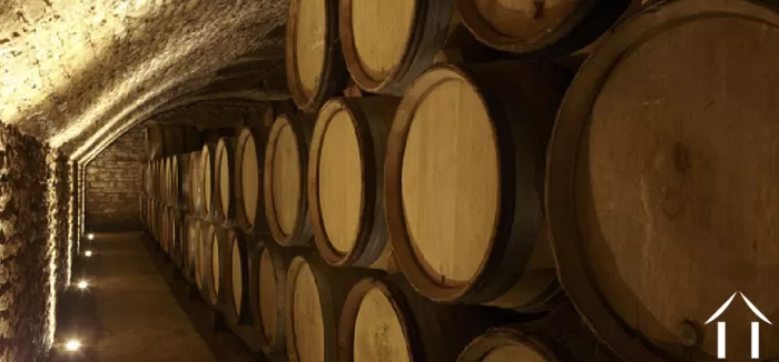 Summer edition 2021 bild-4