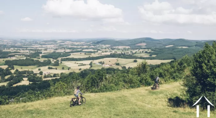 REGIONAL FEATURE bild-4