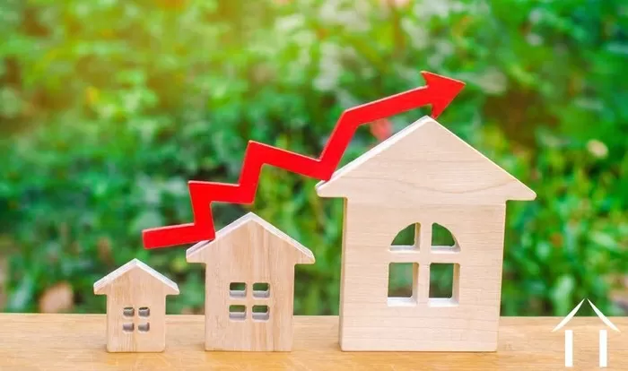 Autumn edition of ‘For You’ bild-2