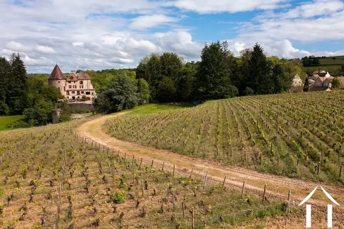 REGION FEATURED bild-3