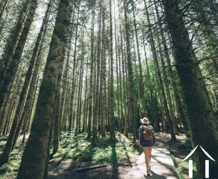 REGIONAL FEATURE bild-4