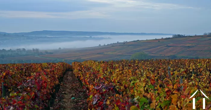 REGIONAL FEATURE bild-5