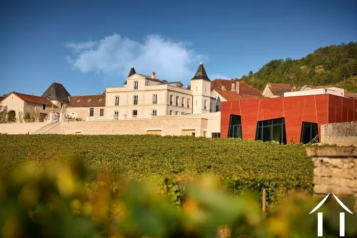 Parrty Invitation bild-1