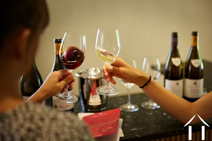 Parrty Invitation bild-2