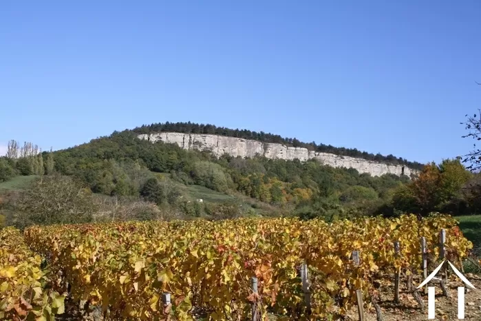 REGIONAL FEATURE bild-2